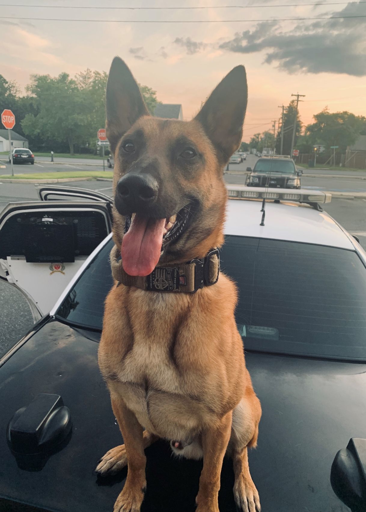 K9 Patrolman Joe Gamble and K9 Casper